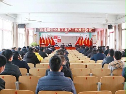 防控疫情为前提 全力以赴抓复工 —台头镇召开复工复产工作推进会议