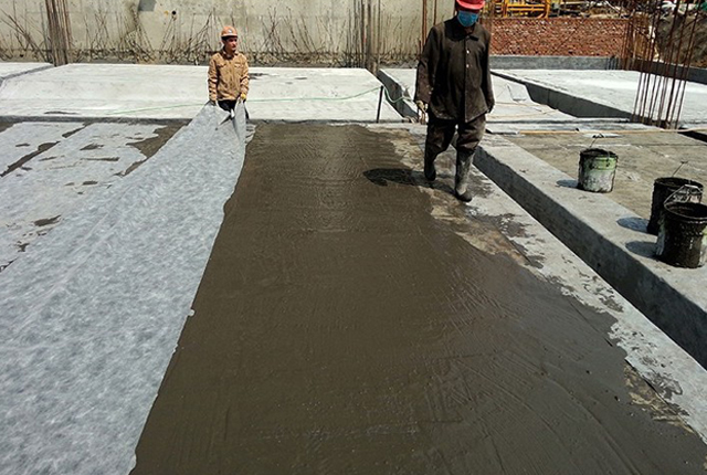 901多功能建筑速溶胶粉