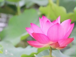 【金帅悦读】《日行一善 行动手册》连载十二