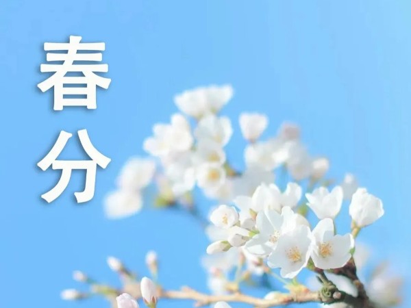 25.3.20-1