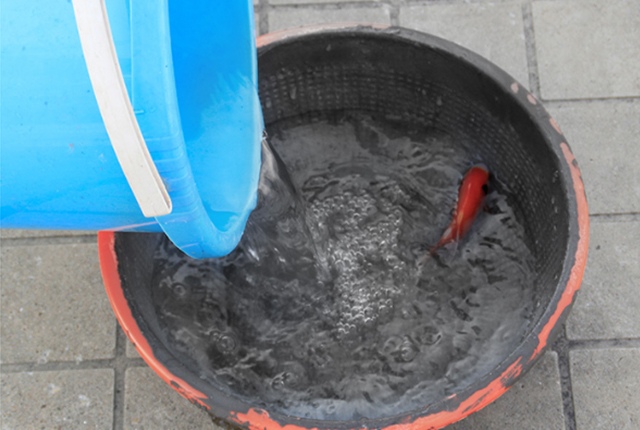 JS聚合物水泥防水涂料