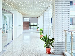 高弹丙烯酸防水涂料助力万科青岛小学防水工程