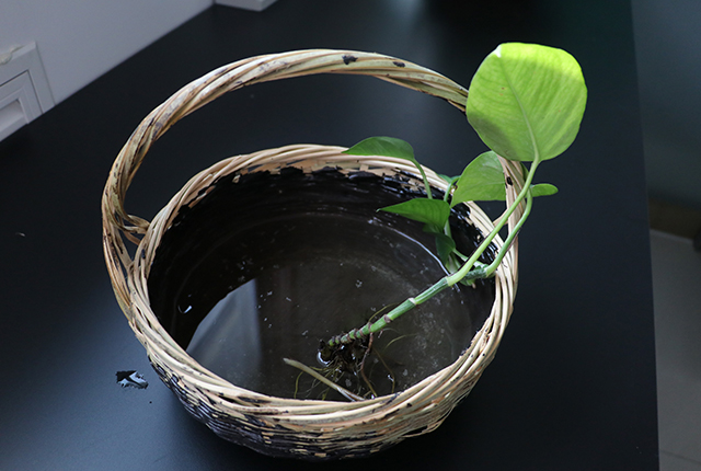 高聚物改性沥青防水涂料