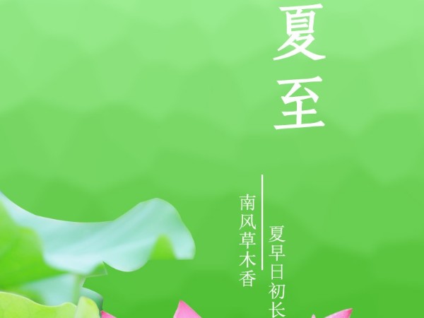 今日夏至 | 万物生长，浓荫夏长